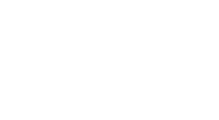Wildfield Village